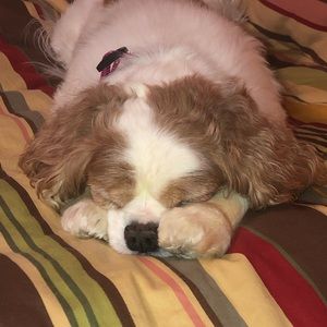 Meet your Posher, Raquel